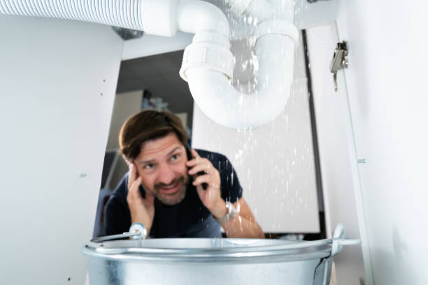 Best Plumbing Services Near Me  in Gregory, TX