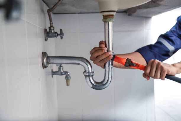 Best Toilet Repair Services  in Gregory, TX
